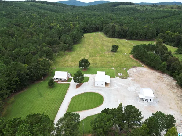 890 County Road 7, Talladega, AL 35160