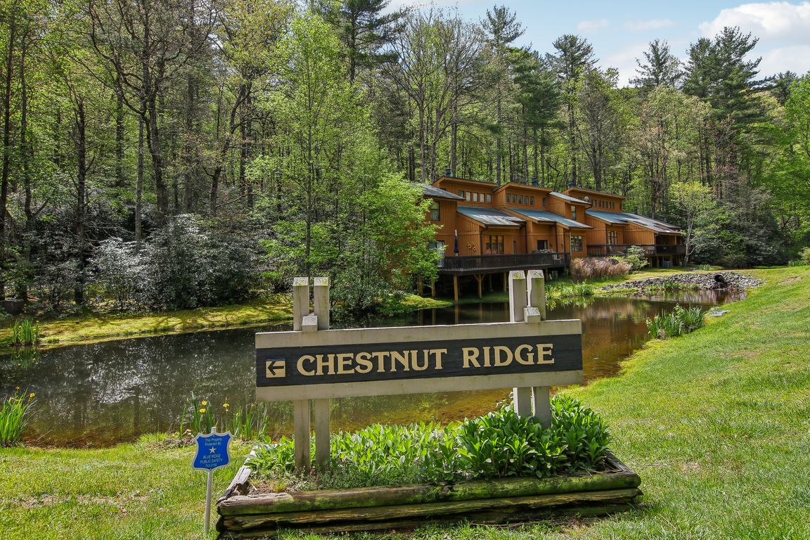 Chestnut Ridge Rd-0605-027.jpg
