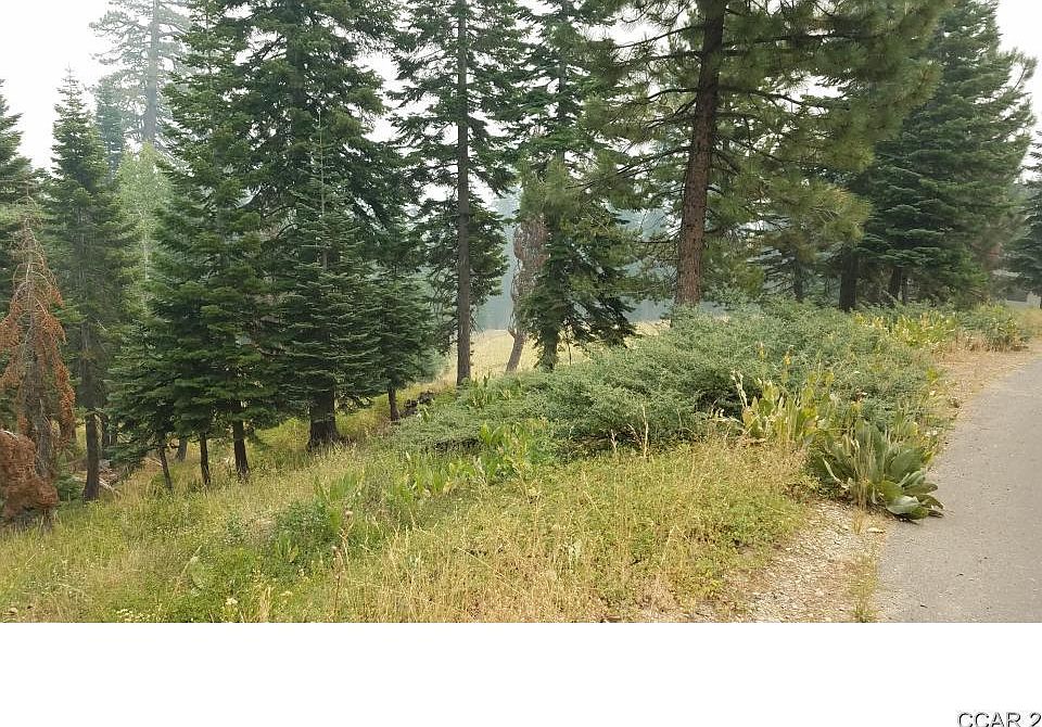 2nd image of 430 Snowshoe Rd