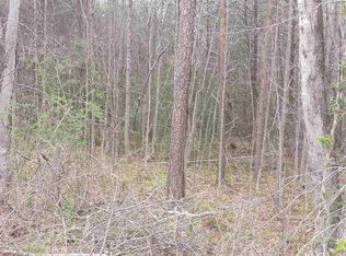 736 Carrie Cove Ln, Clarkesville, GA 30523