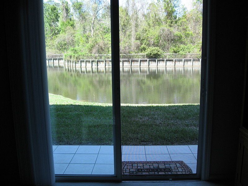Lake and woodlands beyond : View from living room at the back of the home.