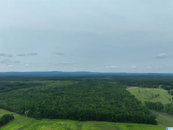 Jackson Farm Rd #2, Wilsonville, AL 35186