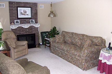 Living Room Firplace