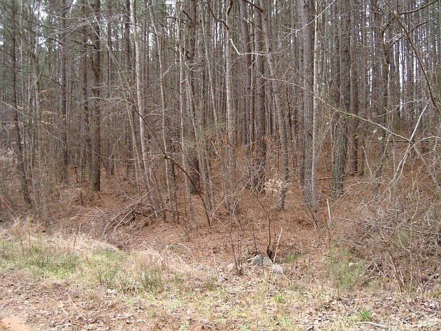 2nd image of 0 Spring Garden Ln