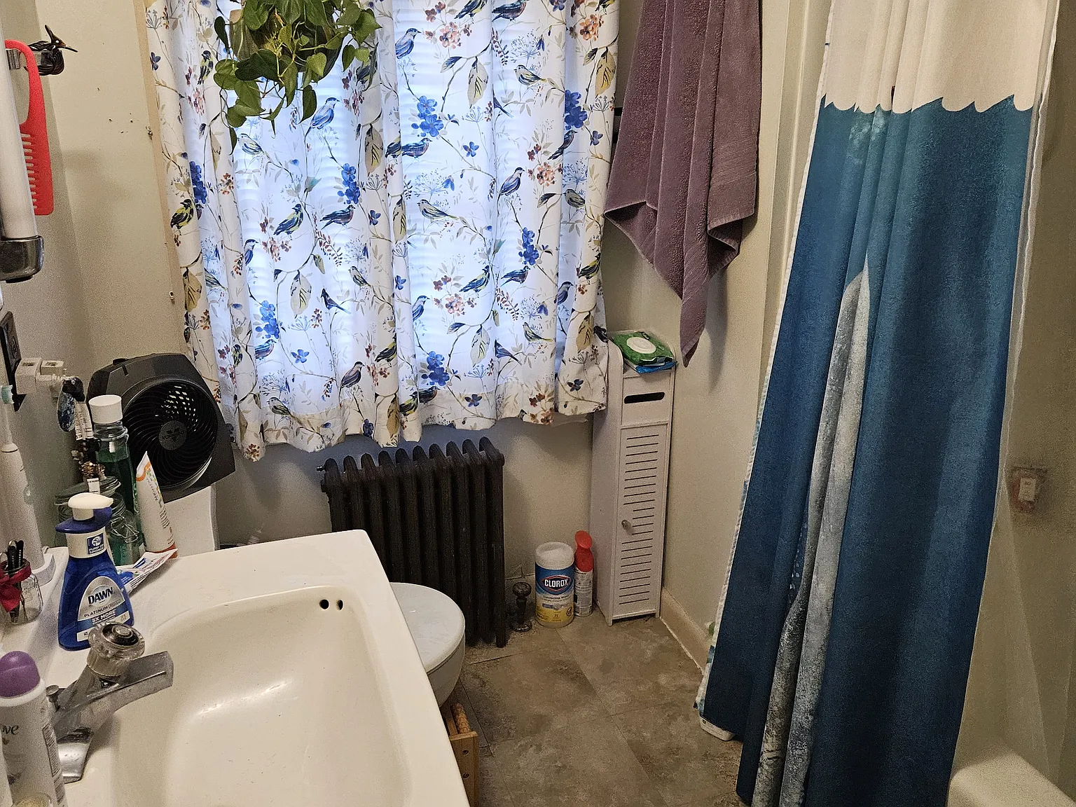 2 bed, 1025 sqft, $2,475 — Photo 4