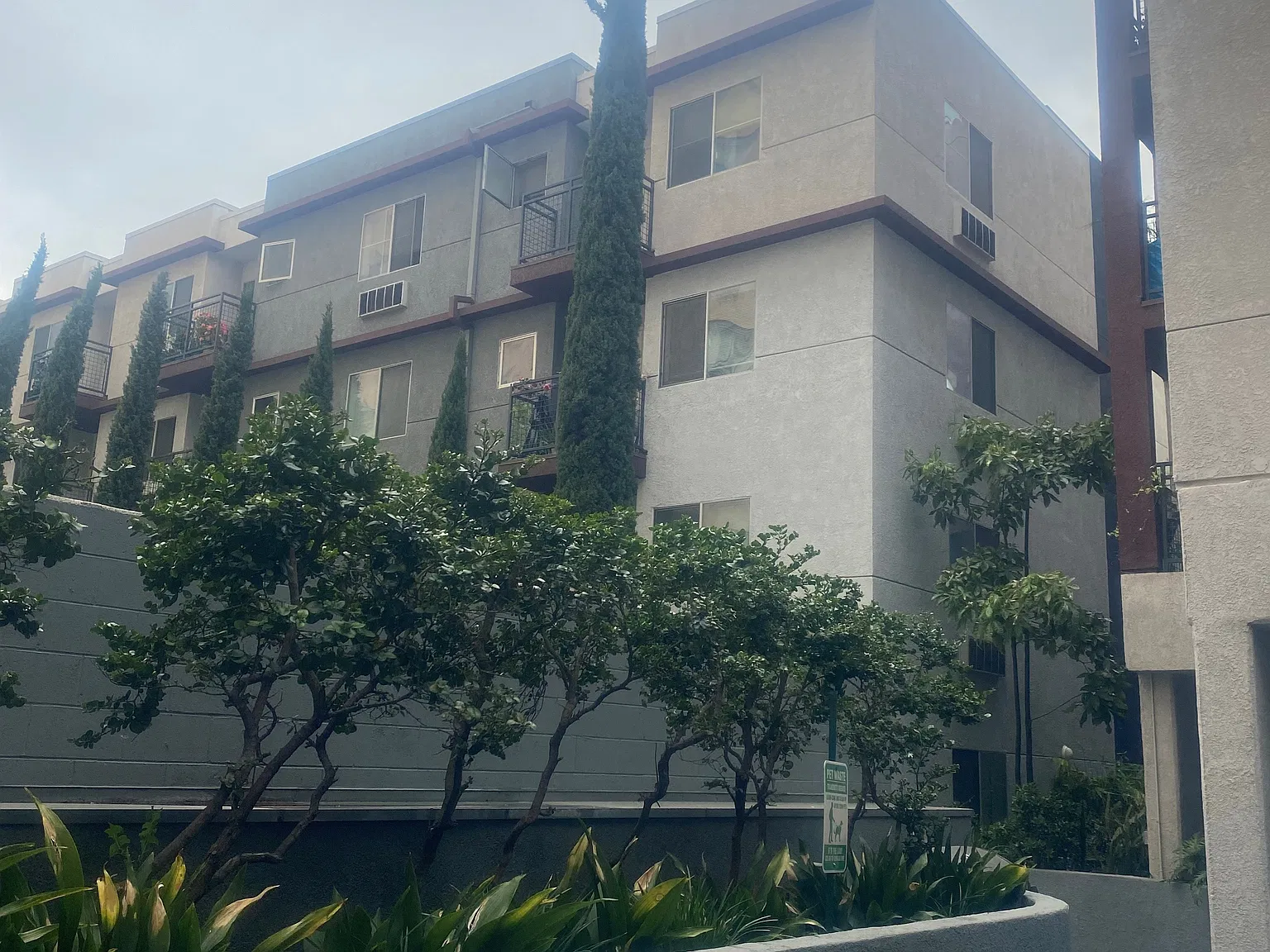 San Lucas Apartments Age 62+ — Photo 4