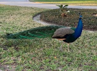 525 White Wing Ln, Houston, TX 77079