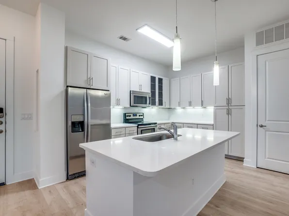 Live Oaks at the Branch