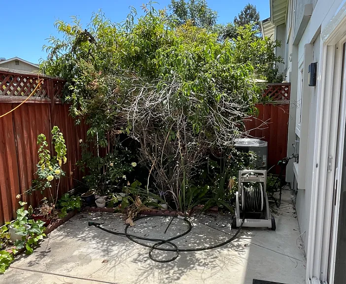40268 Santa Teresa Cmn — Photo 18