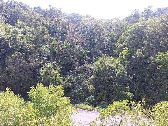 5th image of 68 On Old Hwy