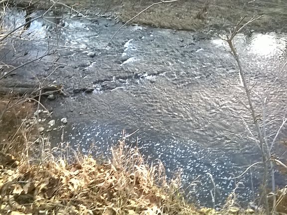 3rd image of 0 Cedar Creek Rd