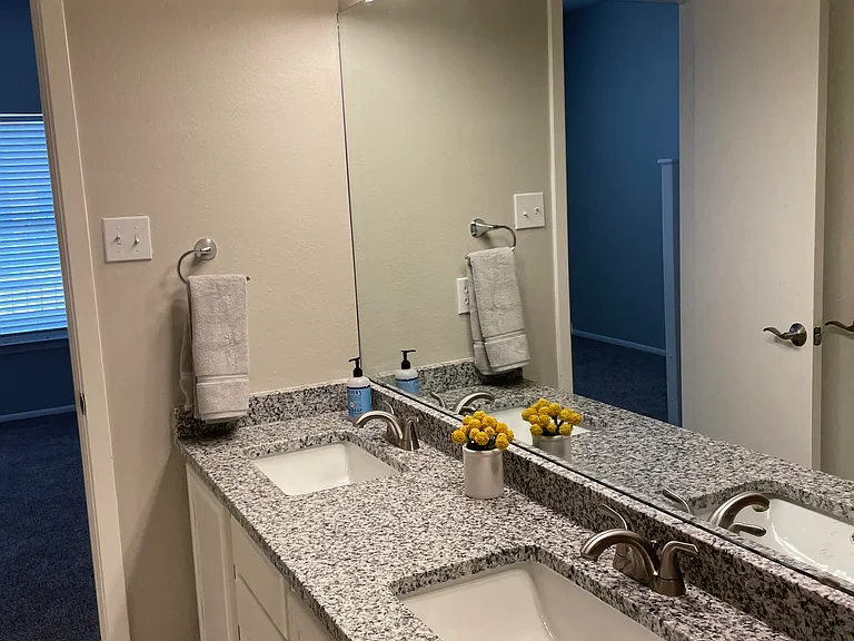 Primary bathroom