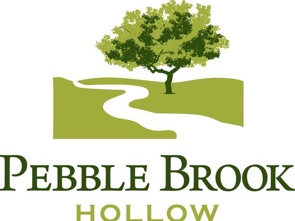 Inspire Plan, Pebble Brook Hollow