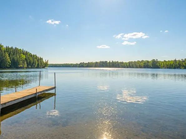 53549 Little Bear Trl, Bigfork, MN 56628