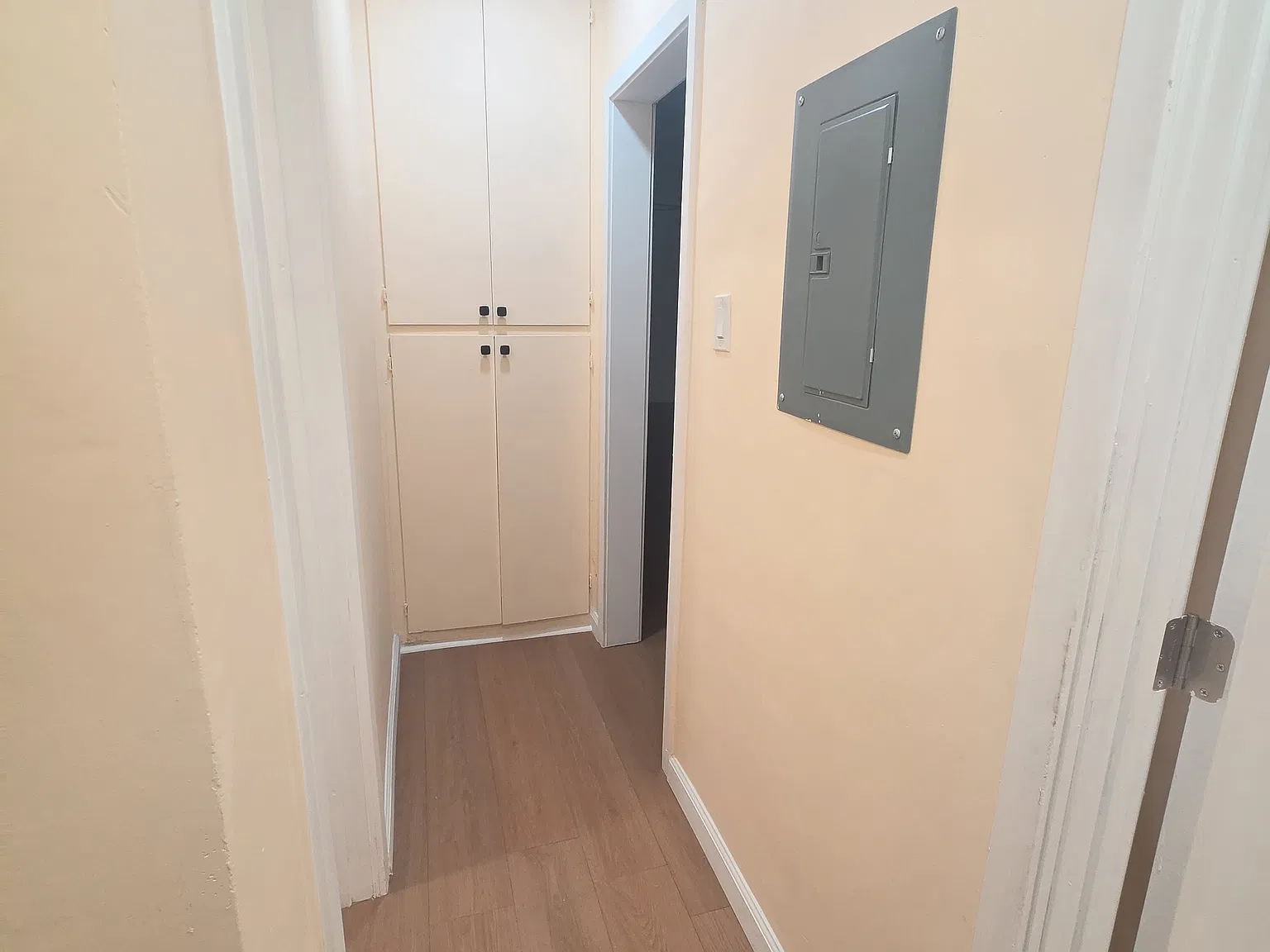 2 bed, 1007 sqft, $2,450 — Photo 3