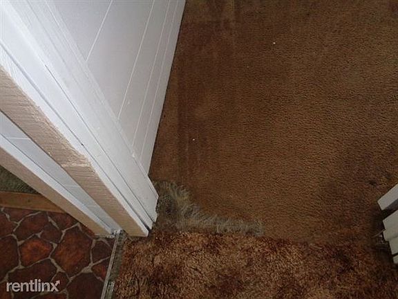 Damage-Worn or damaged carpet