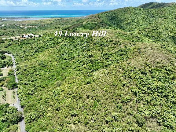 5th image of 49 Lowry Hill EA