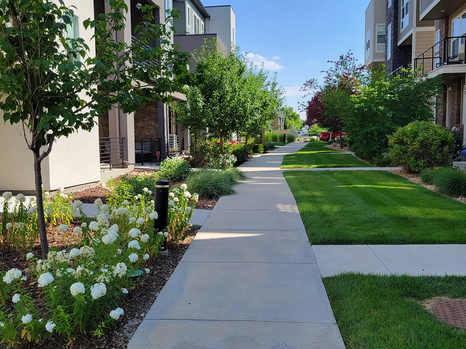 3 bed, 1812 sqft, $2,990 — Photo 3