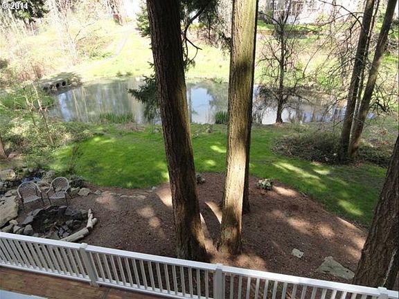 Back yard pond