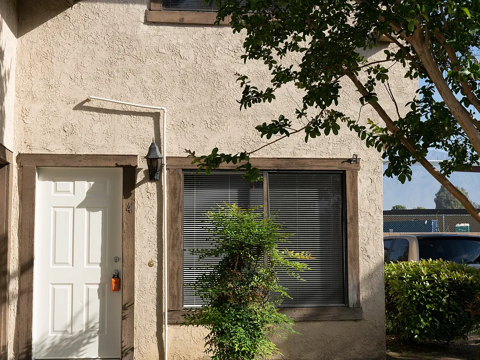 Triumph_0005_07092019
