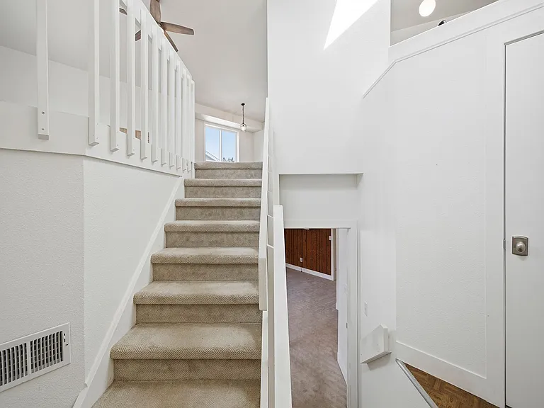 2742 Pampas Dr — Photo 12