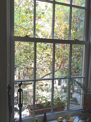 Rented by Corcoran | media 23