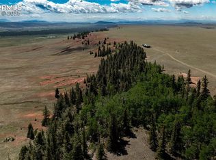 4319 Meier Ridge Trl, Fairplay, CO 80440