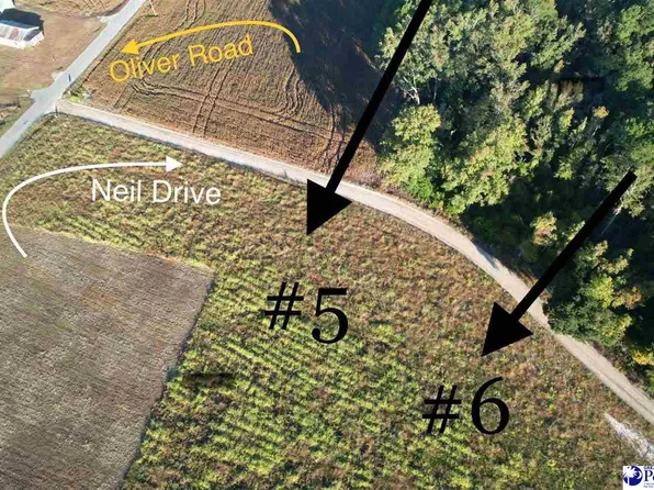 LOT 5 Neil Dr, Hamer, SC 29547