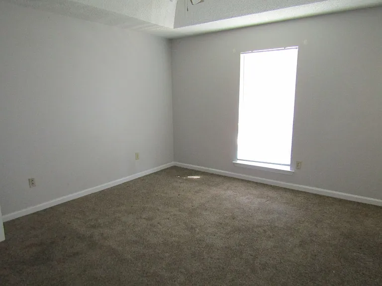 110 Tempest Ln — Photo 18