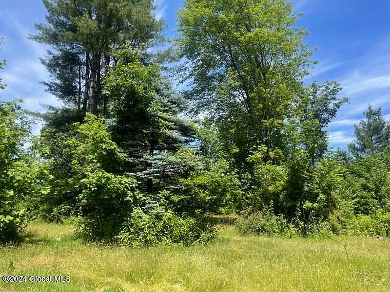3rd image of 196 HOOSICK JUNCTION Road