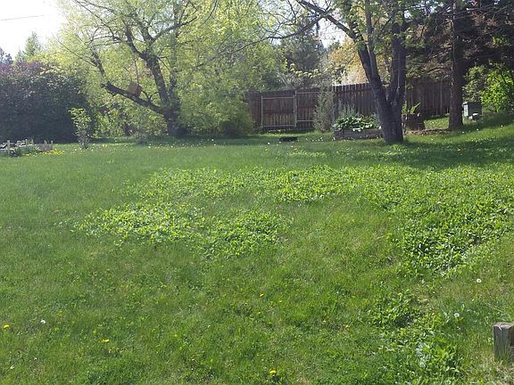 Back yard view south from house.