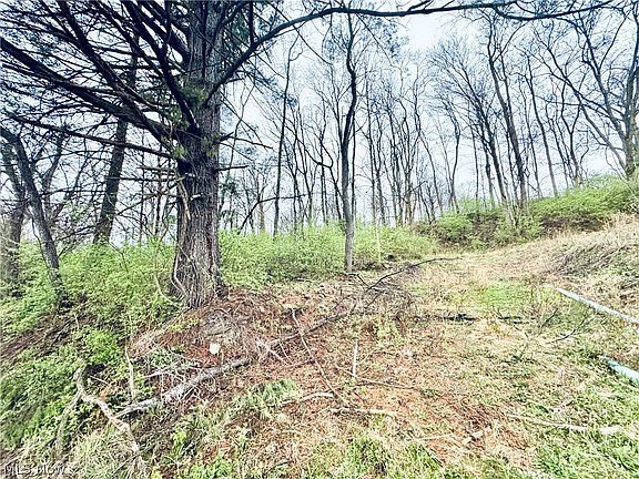 2nd image of Saylor Rd