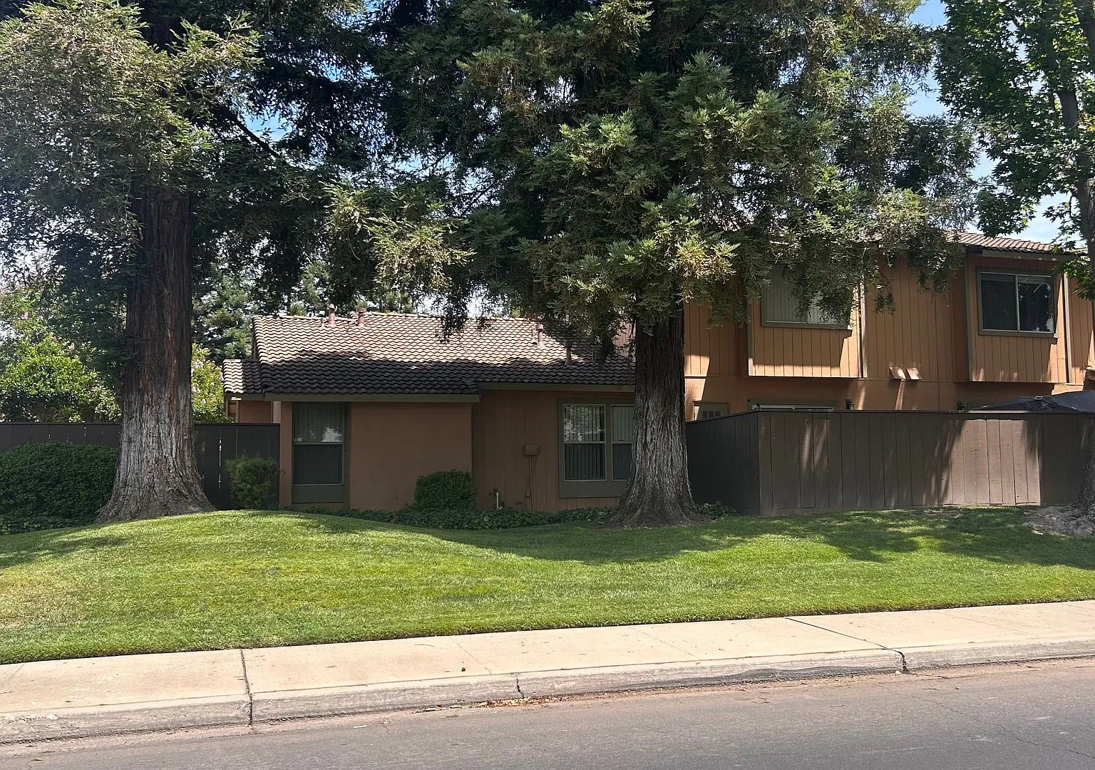3618 - Reed — Photo 1