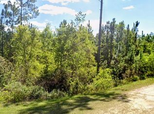 Birch Blvd, Georgetown, FL 32139