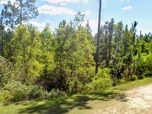 Birch Blvd, Georgetown, FL 32139