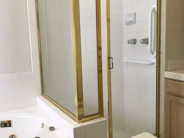 Master Bathroom Shower
