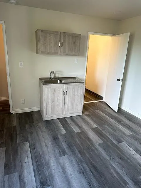 Studio, 250 sqft, $1,249 — Photo 4