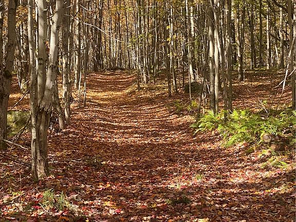 3rd image of 535 Babbling Brook Rd