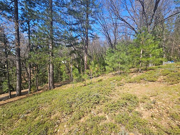 4th image of 23470 Pack Trail Rd