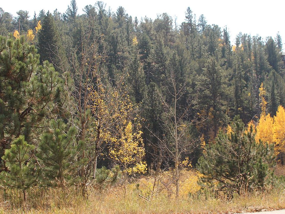 2nd image of 2012 Shelton Drive