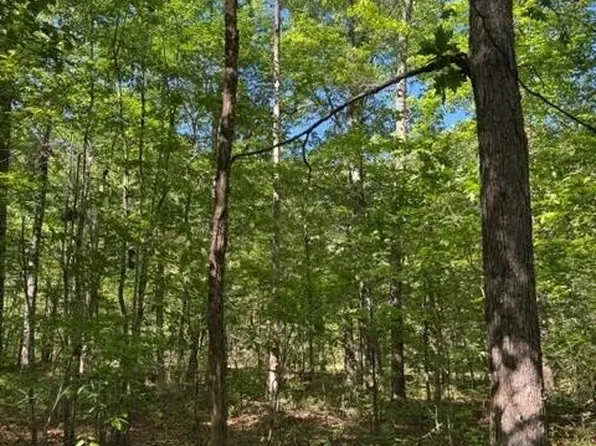 5.85 Genesis Ln, Tracy City, TN 37387