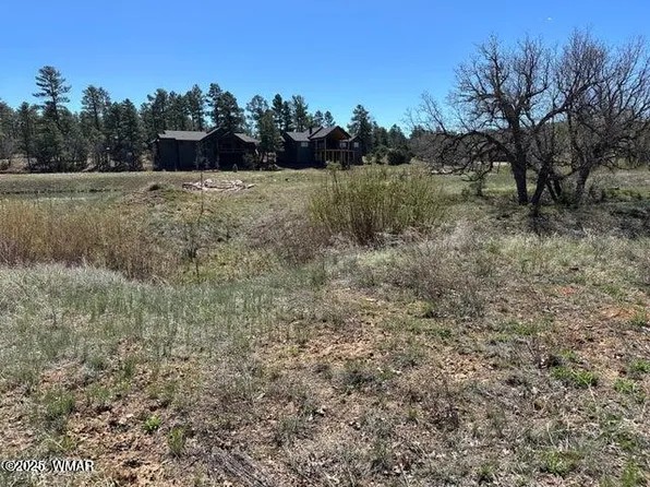 1301 Lakeside Trl, Show Low, AZ 85901