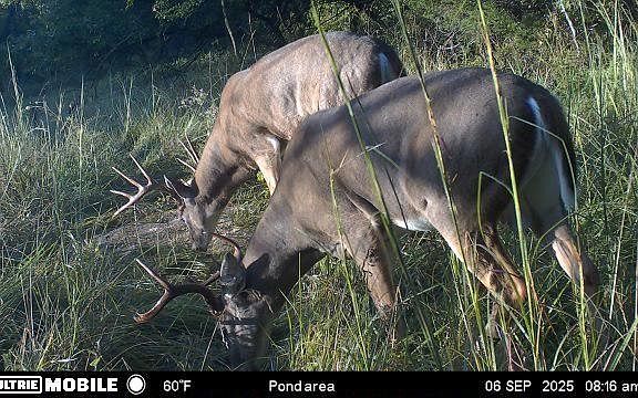 3rd image of 1 Cold Water Springs Rd
