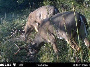 1 Cold Water Springs Rd, Louisburg, KS 66053