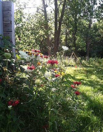 Early Fall 2016, N of house