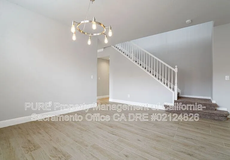 4909 Concordia Dr — Photo 7