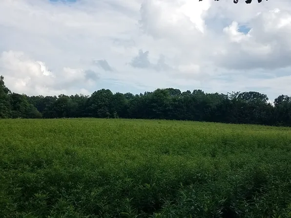 2411 Kesler Rd, Carnesville, GA 30521