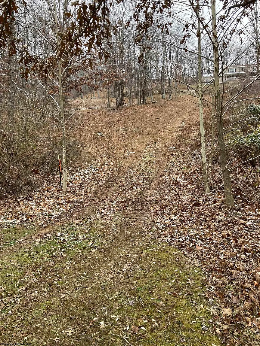 26-82 Doe Ln photo 1