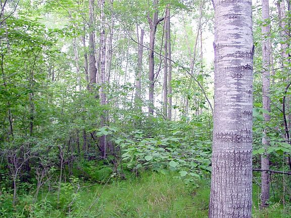2nd image of 94 Acres on Cty. Rd. J
