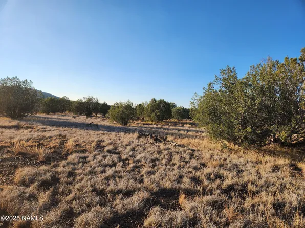 3405 W Pinto Dr, Williams, AZ 86046